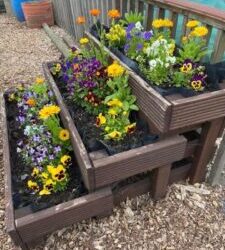 🌿 Gardening & Horticultural Therapy – Every Tuesday, 9.30am–3 pm at Norton allotments plot 26-29.